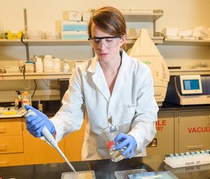 Forschungsleiterin Courtney Gardner bei der Arbeit im Labor (Foto: wsu.edu) Forschungsleiterin Courtney Gardner bei der Arbeit im Labor (Foto: wsu.edu)