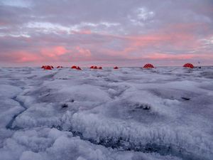 Camp in Süd-Grönland: vorne dunkles Eis mit Eisalgen (Foto: Jenine McCutcheon)