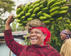 Bananen. Traditionelle Ernährung ist besser (Foto: pixabay.com, gunnarmallon)