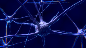 Neuronen: Neuer Ansatz gegen Hirntumore (Foto: pixabay.com, Colin Behrens)