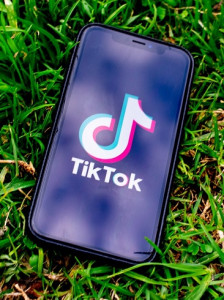 TikTok: 2020 fast 200 Mio. Videos gelöscht (Foto: pixabay.com, travelsourced)