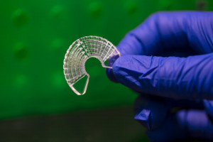 Gerüst: Skelettmuskeln dreidimensional gezüchtet (Foto: Matt Jensen, usu.edu)