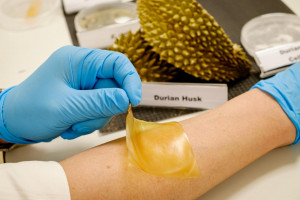 Wundbehandlung: Hydrogel aus Fruchtschalen statt Kunststoff (Foto: ntu.edu.sg)