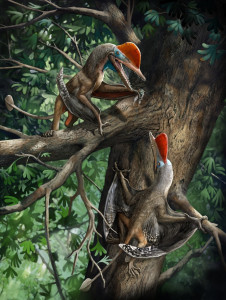 Flugsaurier: Daumen fürs Leben in den Bäumen (Illustration: Chuang Zhao)