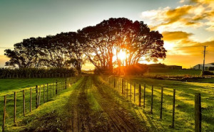 Neuseeland: Klimawandel im Fokus des Staates (Foto: pixabay.com, 12019)