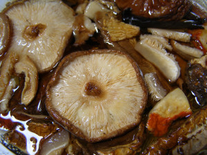 Shitake-Pilze: Diese sind reich an Ergothionein (Foto: pixabay.de/Connie Tucker)