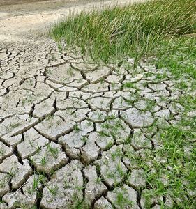 Vertrockneter Boden: Klimawandel schreitet voran (Foto: pixabay.com, jodylehigh)