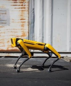 Aufklärer: in Polizei-Blau unerwünscht (Foto: bostondynamics.com)