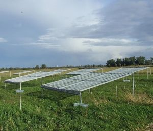 Untersuchungsfläche an der Havel: immer weniger Regen (Foto: Kristin Ludewig)