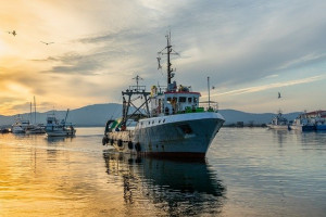 Fischereiboot beim Auslaufen ins Fanggebiet (Foto: Christo Anestev, pixabay.com)