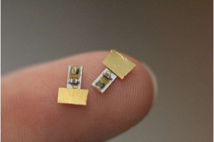 Stimulatoren: Neue Geräte für Nerven und Herz sind extrem klein (Foto: rice.edu)