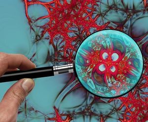 Nervenzellen: Mausmodelle liefern neue Erkenntnisse (Foto: pixabay.com, geralt)