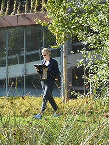 Draußen lesen: Eigentlich sinnvoller als im Büro (Foto: Tommy Lindholm)