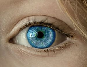Auge: Krebs mit Piperlongumin behandelbar (Foto: pixabay.com, cocoparisienne) Auge: Krebs mit Piperlongumin behandelbar (Foto: pixabay.com, cocoparisienne)