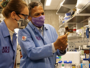 Forscher begutachten den Phosphat-Schwamm (Foto: northwestern.edu)