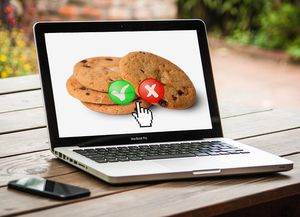 Cookies: große Mehrheit der Deutschen davon genervt (Foto: pixabay.com, Tumisu)