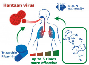 Hataan-Virus: Medikamente aus der Natur helfen (Grafik: eng.rudn.ru) Hataan-Virus: Medikamente aus der Natur helfen (Grafik: eng.rudn.ru)
