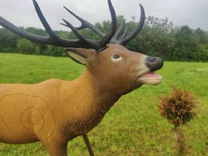 Bogensport-Meisterschaft: Hirsch-Attrape auf der Wiese (Foto: ÖBSV)