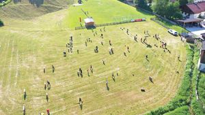 Einschießen bei der Österreichischen Staatsmeisterschaft (Foto: ÖBSV)