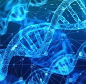 DNA: Staufen und Pumilio von großer Bedeutung (Bild: pixabay.com, geralt)