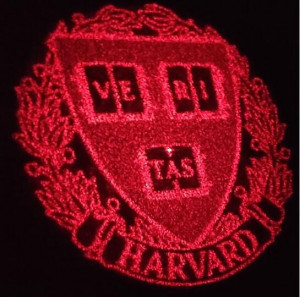 Licht-Wappen: Anwendung der Steuer-Oberfläche (Foto: Christina Spägele/Harvard SEAS)