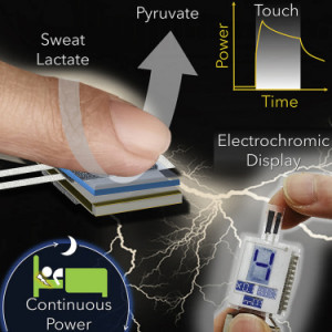 Darstellung: So funktioniert das elektronische Pflaster (Foto: UCSD)