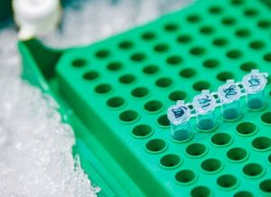 Proben im Labor: TUM-Forschern gelingt Sequenzierung (Foto: tum.de, Juli Eberle)