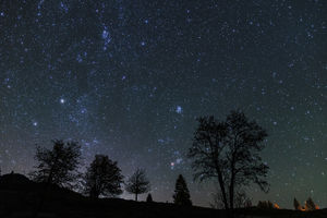 Leuchtender Sternenhimmel - ein seltener Anblick (Foto: paten-der-nacht.de)
