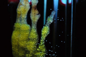 Hydrogele lassen Wunden besser verheilen (Foto: Monika Robak, pixabay.com)