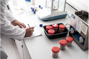 Tests mit Proben von Fleischersatz im KTU-Labor (Foto: en.ktu.edu)