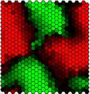 Stammzellen als mathematisches Modell (Grafik: southampton.ac.uk)