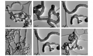 Cluster von Kohlenstoff-Nanoröhrchen unter dem Mikroskop (Bilder: rmit.edu.au)