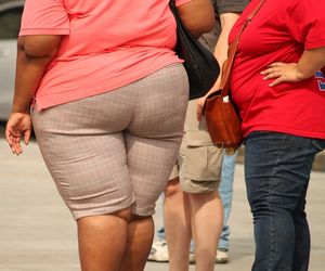 Frauen: Adipositas für Männer schädlicher (Foto: cocoparisienne, pixabay.com) 