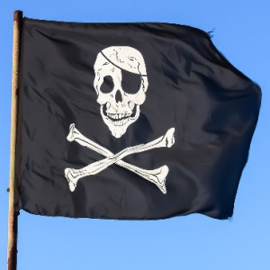 Pirat: Hochkonjunktur durch Spätstarts (Foto: dimitrisvetsikas1969, pixabay.com) Pirat: Hochkonjunktur durch Spätstarts (Foto: dimitrisvetsikas1969, pixabay.com)