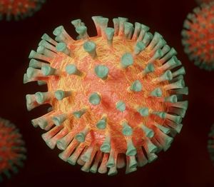 Coronavirus: Schwangere besonders gefährdet (Bild: BlenderTimer, pixabay.com)