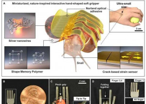 Was die winzige Hand alles kann (Schematische Darstellung: Was die winzige Hand alles kann (Schematische Darstellung: