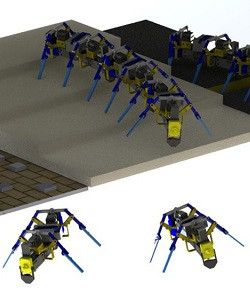 Gemeinsam krabbeln: So kommen Roboter optimal weiter (Foto: nd.edu)