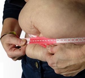 Übergewicht: Fehlendes Protein zeigt Wirkung (Foto: pixabay.com, Bru-nO)