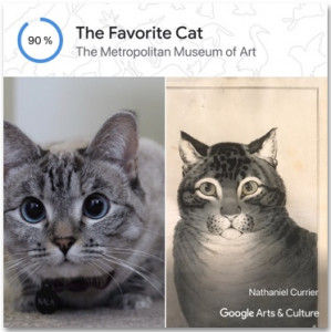 Katze trifft Katze: Nala Cat als ein Kunstwerk (Foto: google.com)