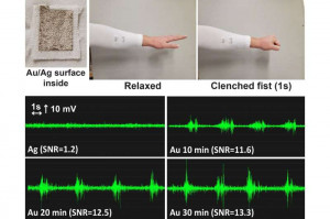 Vom Sensor erfasste Signale beim Ballen einer Faust (Bild: utah.edu)