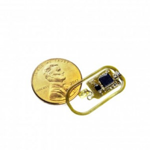 Sensor im Vergleich mit einer Ein-Pence-Münze (Foto: Gutruf Lab, arizona.edu)