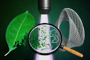 Forscher machen aus Pflanzen nun Kunststoffe (Bild: twin-cities.umn.edu)