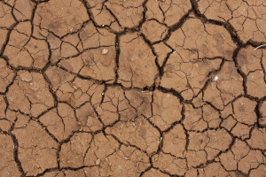 Trockener Boden: Jüngere leiden unter Hitze (Foto: pixabay.com, Engin_Akyurt)
