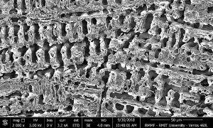 Kraterlandschaft der neuen Kupferoberfläche im Detail (Foto: rmit.edu.au)