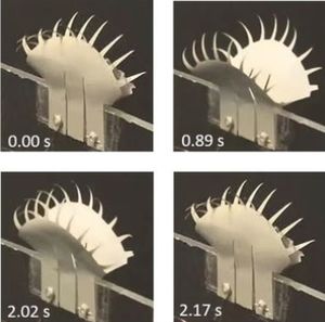Greifer: Schließzeit liegt bei gut zwei Sekunden (Fotos: Yong Zhu, ncsu.edu)