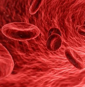 Gesunde Zellen im Blut bleiben dank Kniff verschont (Bild: qimono, pixabay.com)