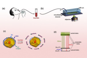 So funktioniert der Hightech-Corona-Test des MIT (Illustration: mit.edu)