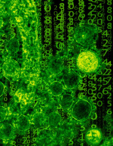 Bakterium: Gensequenzierung entscheidend (Foto: pixelio.com, Matryx)