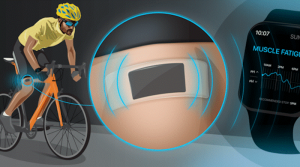 Fitness-Sensor warnt vor Überanstrengung (Grafik: Olga Kasimova, kaust.edu.sa)