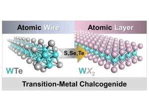 Aus Nanodrähten (links) machen japanische Forscher Nanobänder (Grafik: tmu.ac.jp) Aus Nanodrähten (links) machen japanische Forscher Nanobänder (Grafik: tmu.ac.jp)